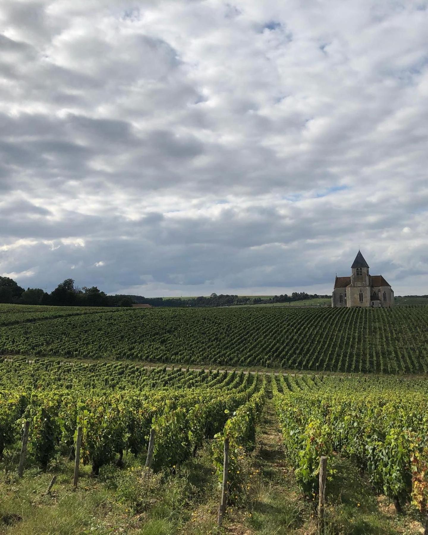 Maison De Pauline, Chablis Vineyard Préhy Стая снимка