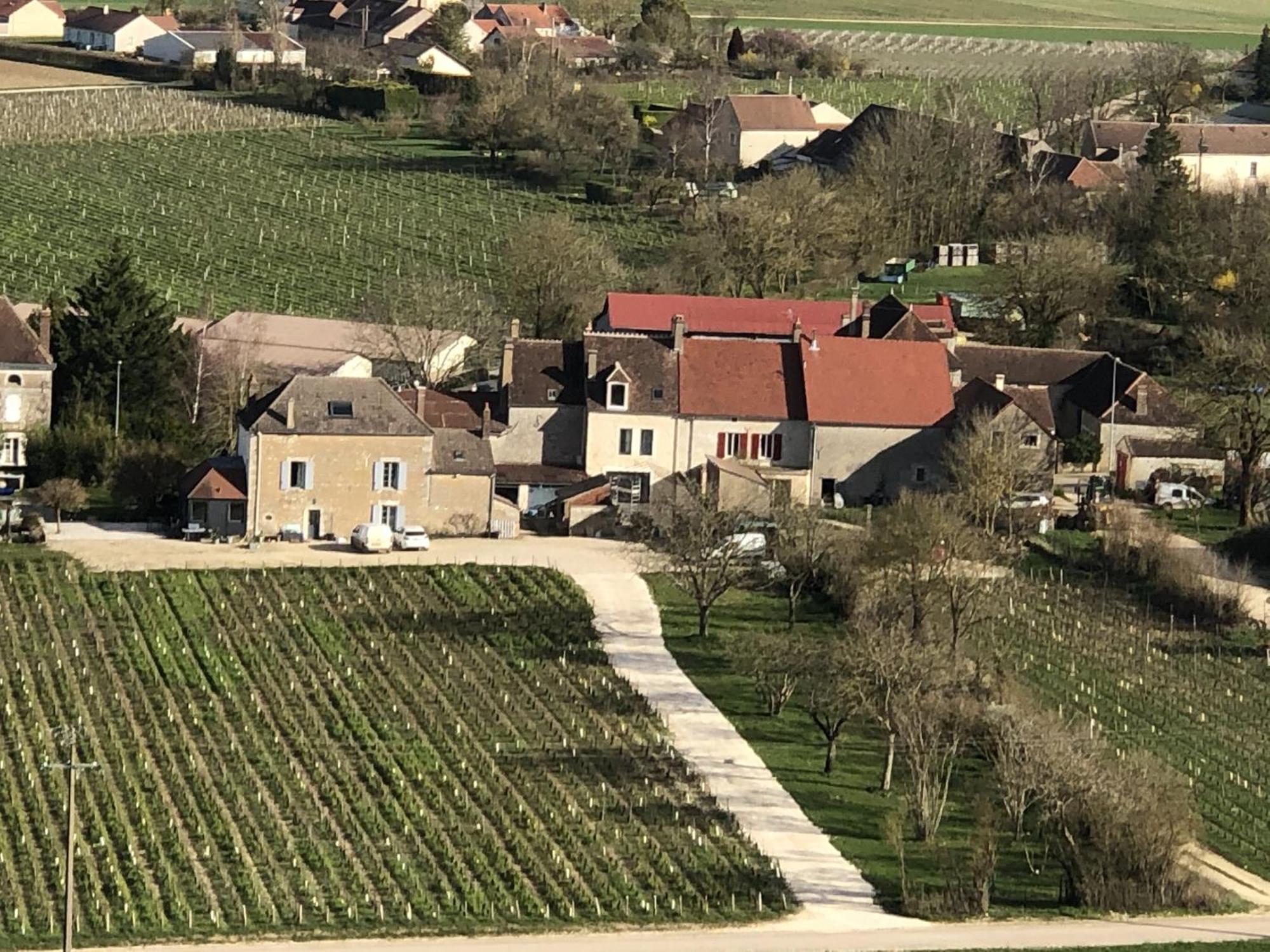 Maison De Pauline, Chablis Vineyard Préhy Екстериор снимка